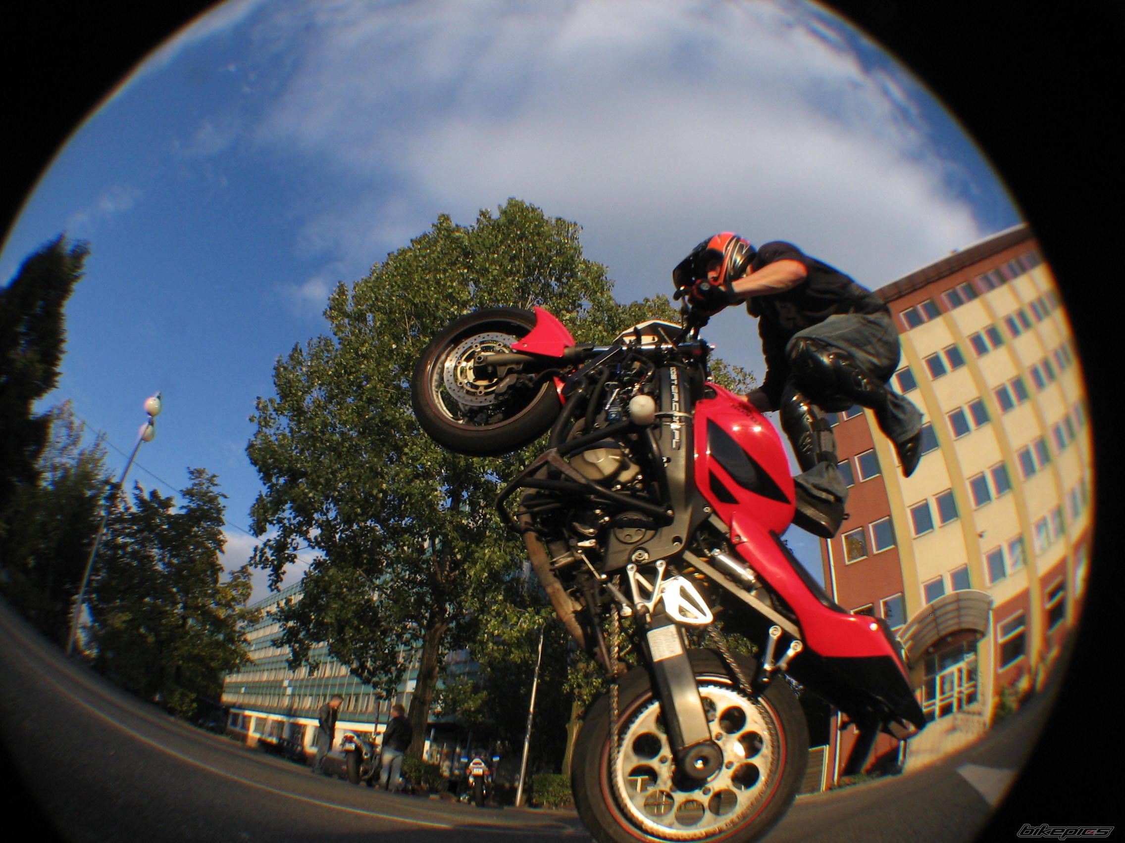 Photo 1799270
