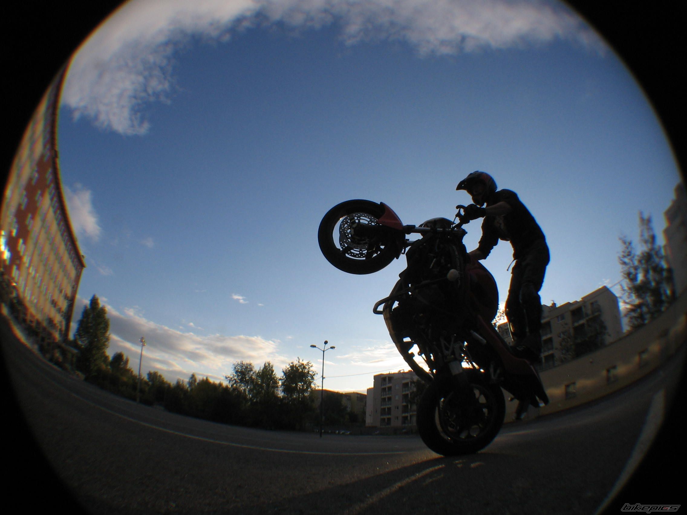 Photo 1799278