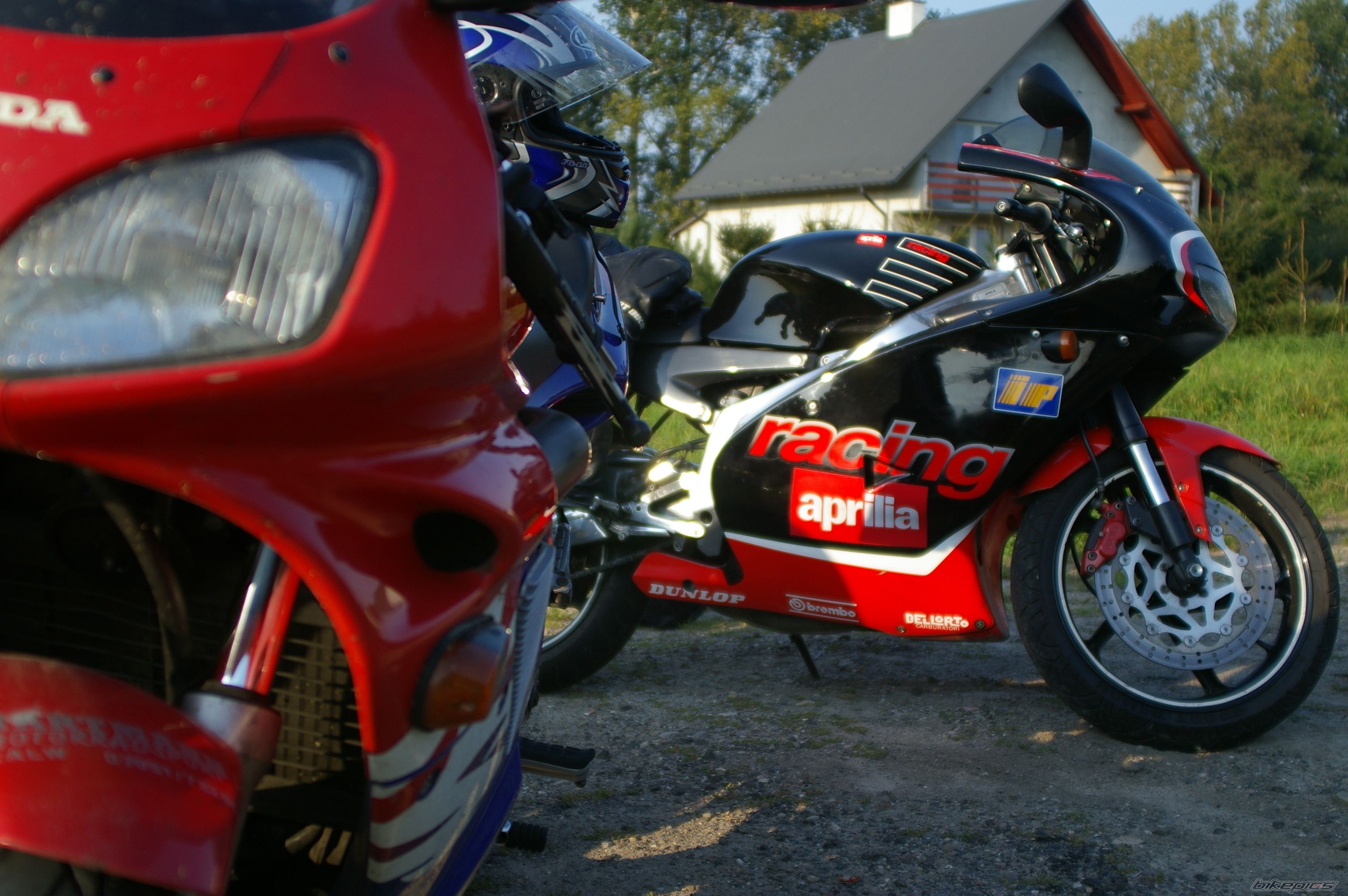 Photo 1799283
