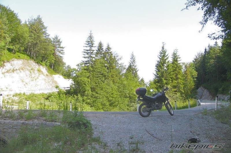 Photo 179945
