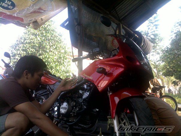 Photo 1799481