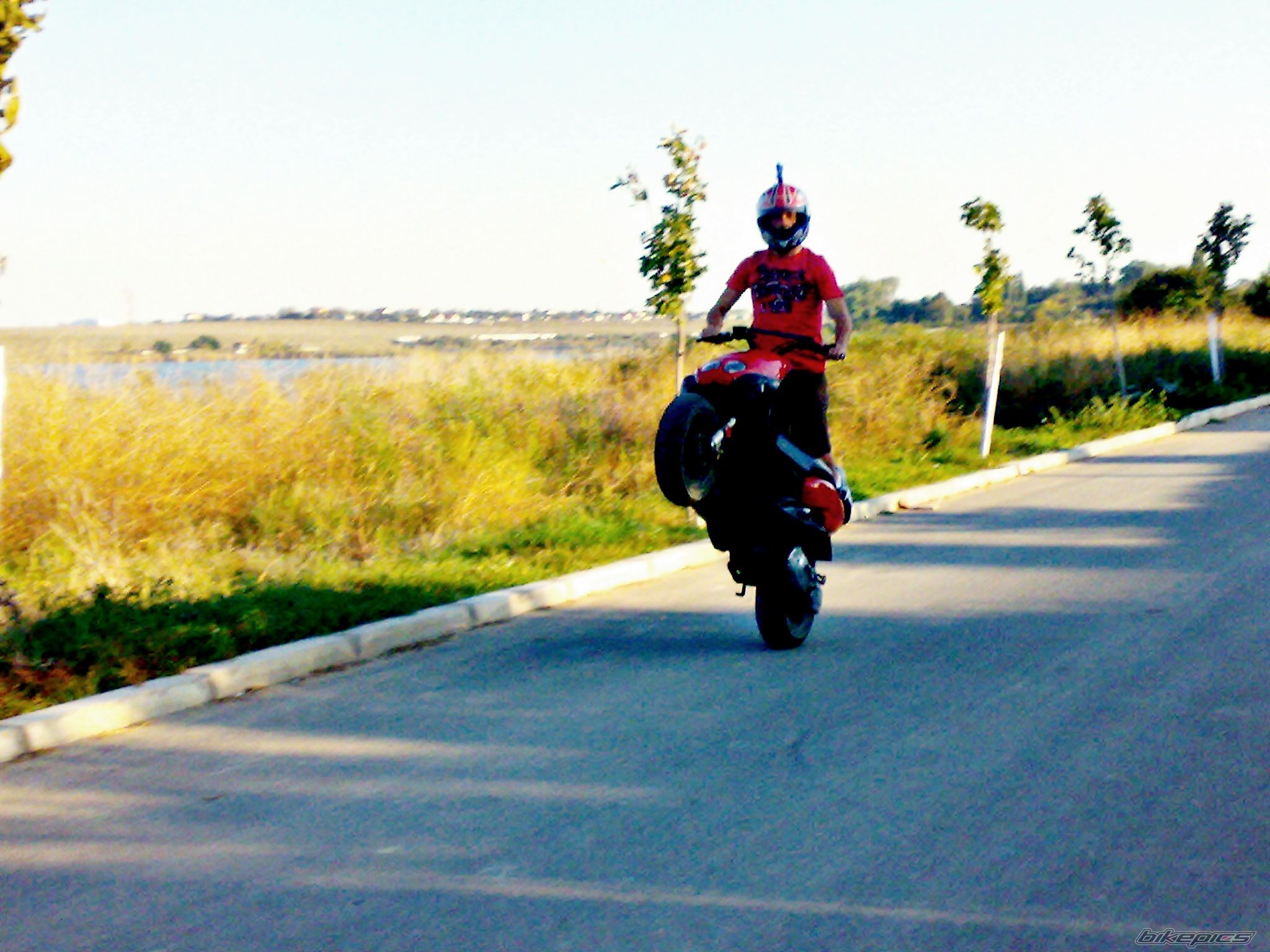 Photo 1799482