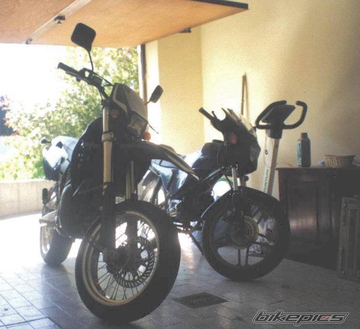 Photo 179955