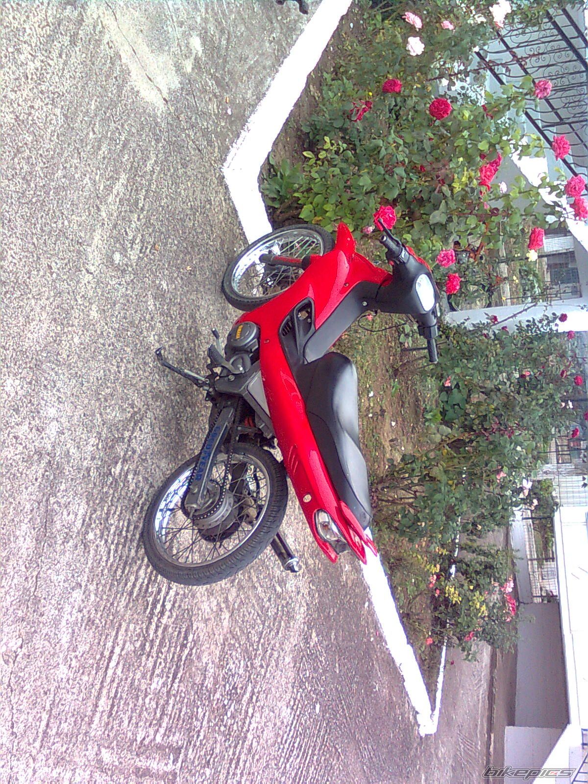 Photo 1799587