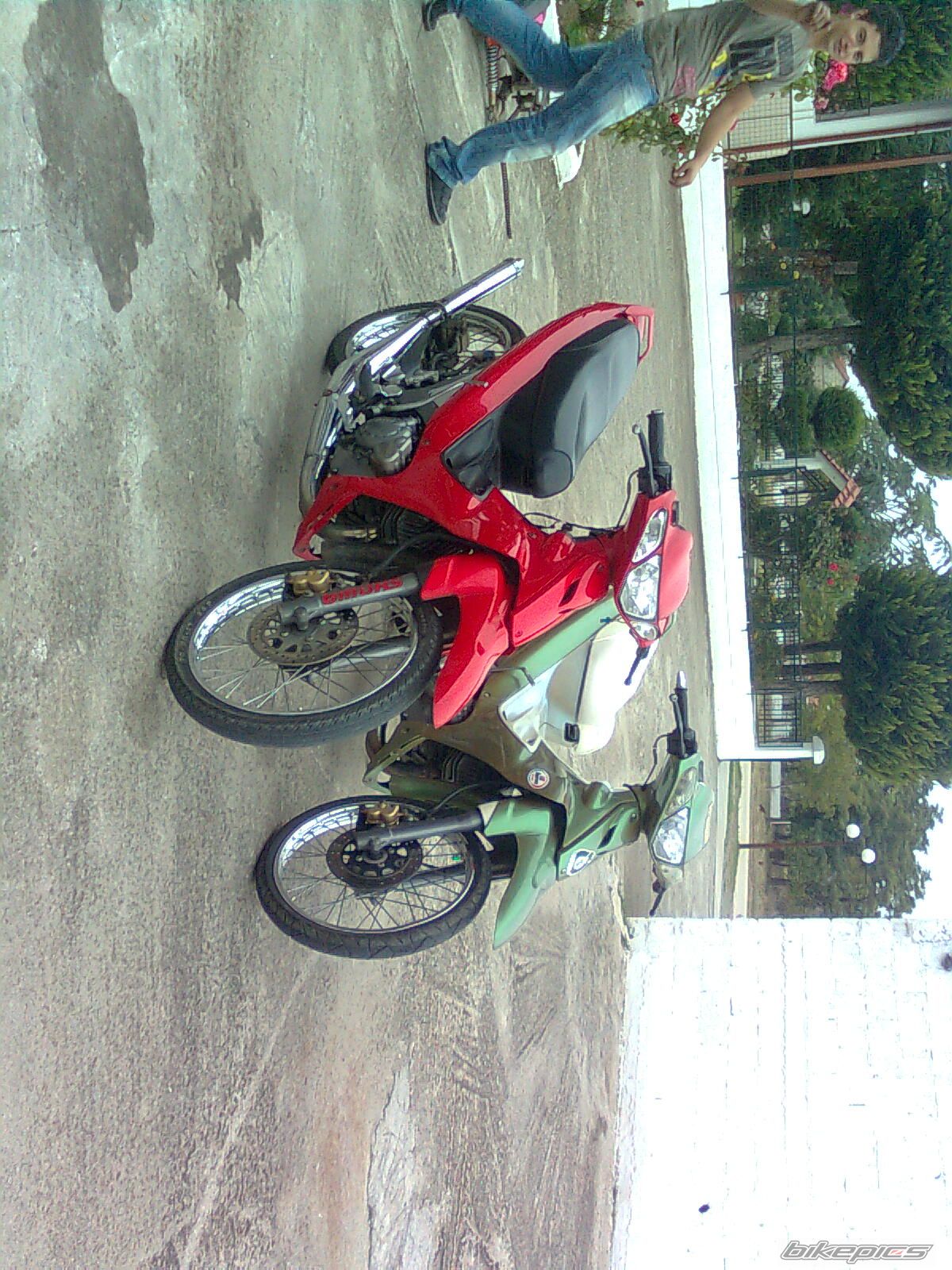 Photo 1799589