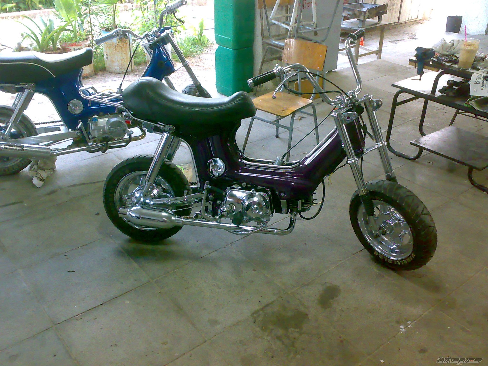 Photo 1799607