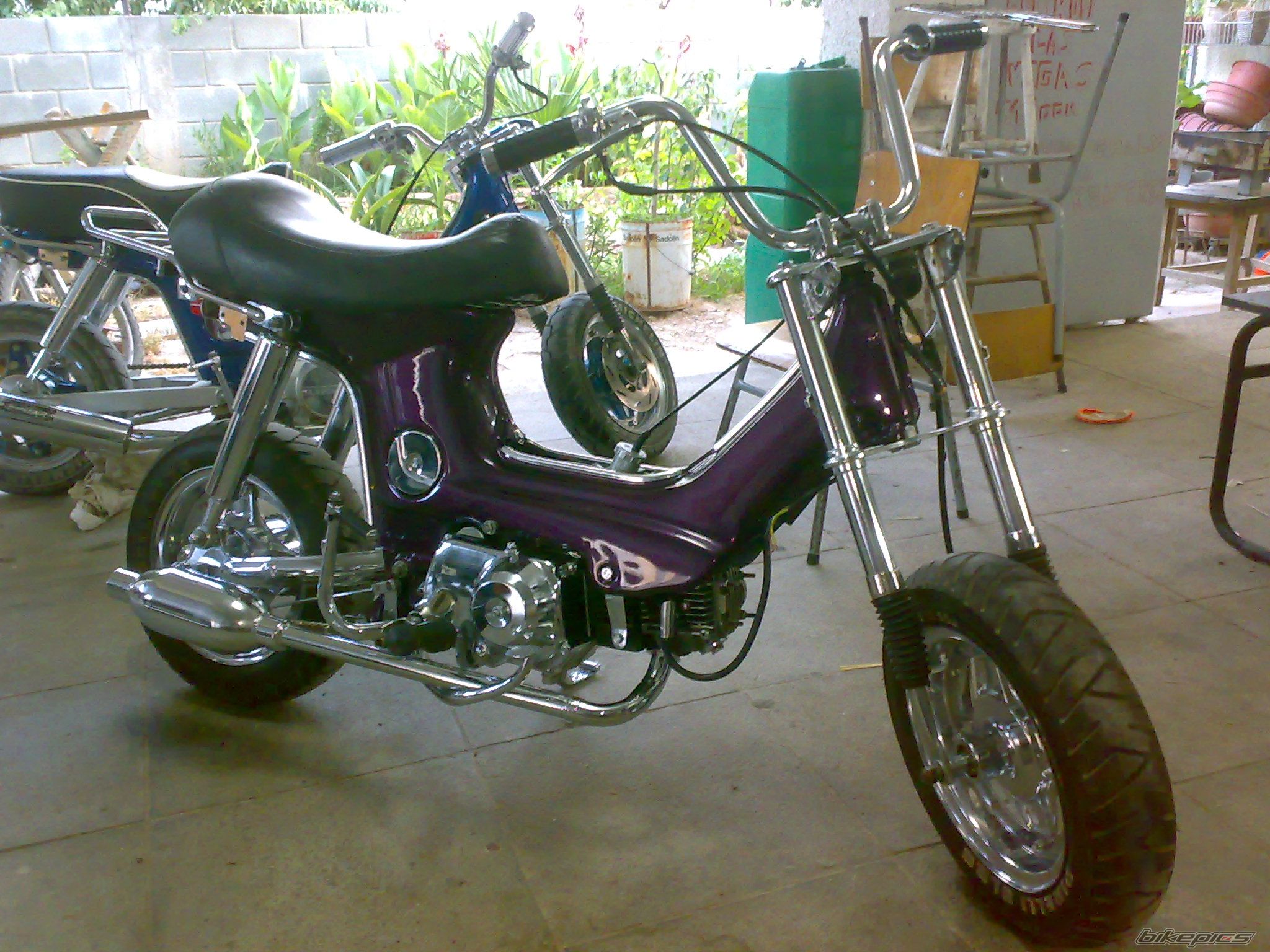 Photo 1799613