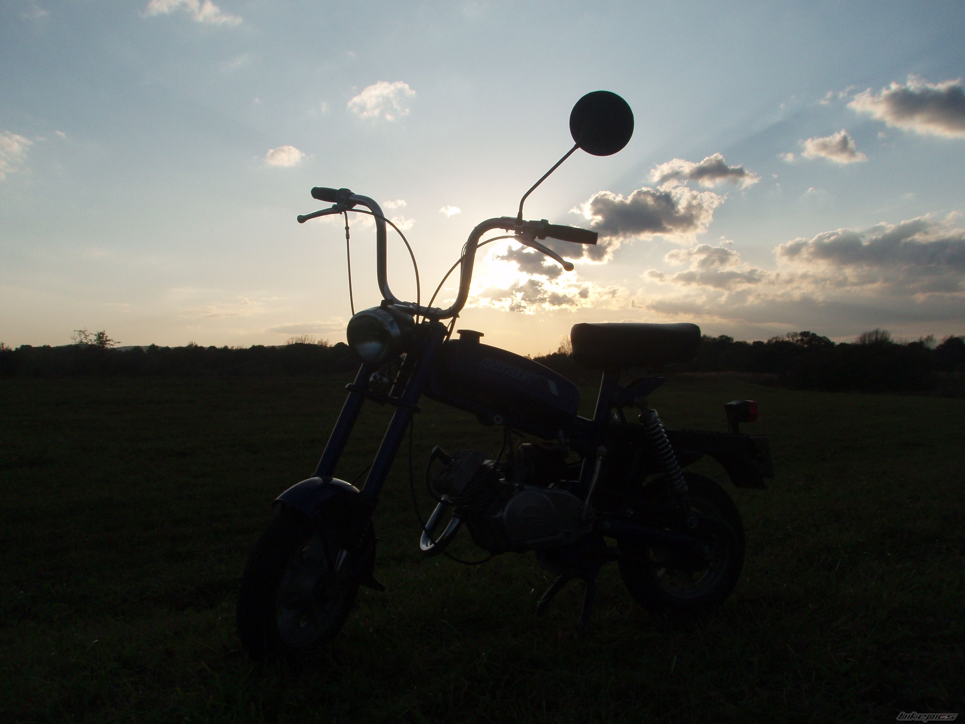 Photo 1799616