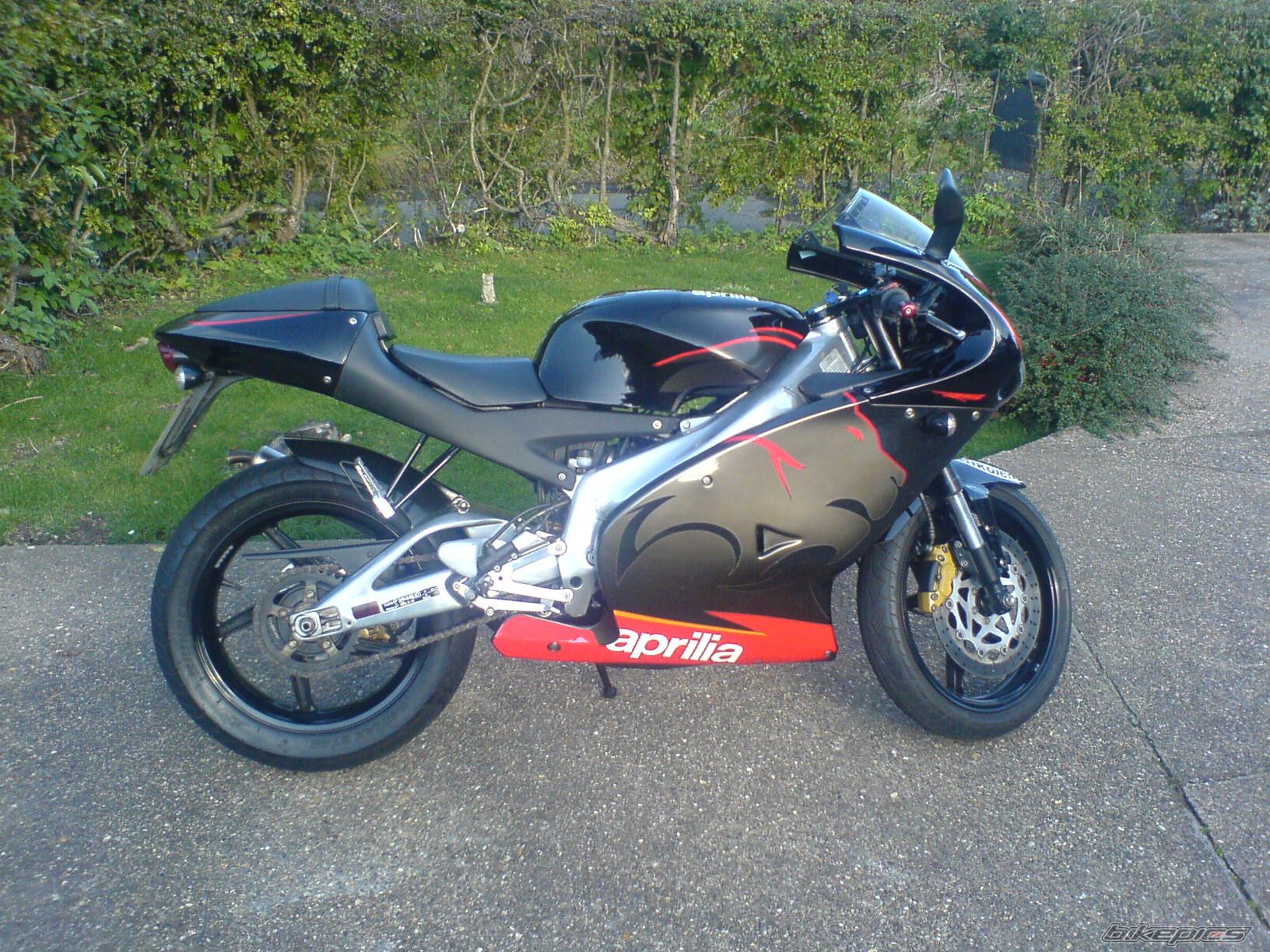 Photo 1799632