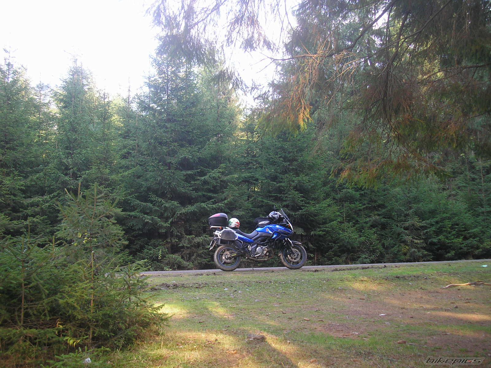Photo 1799728
