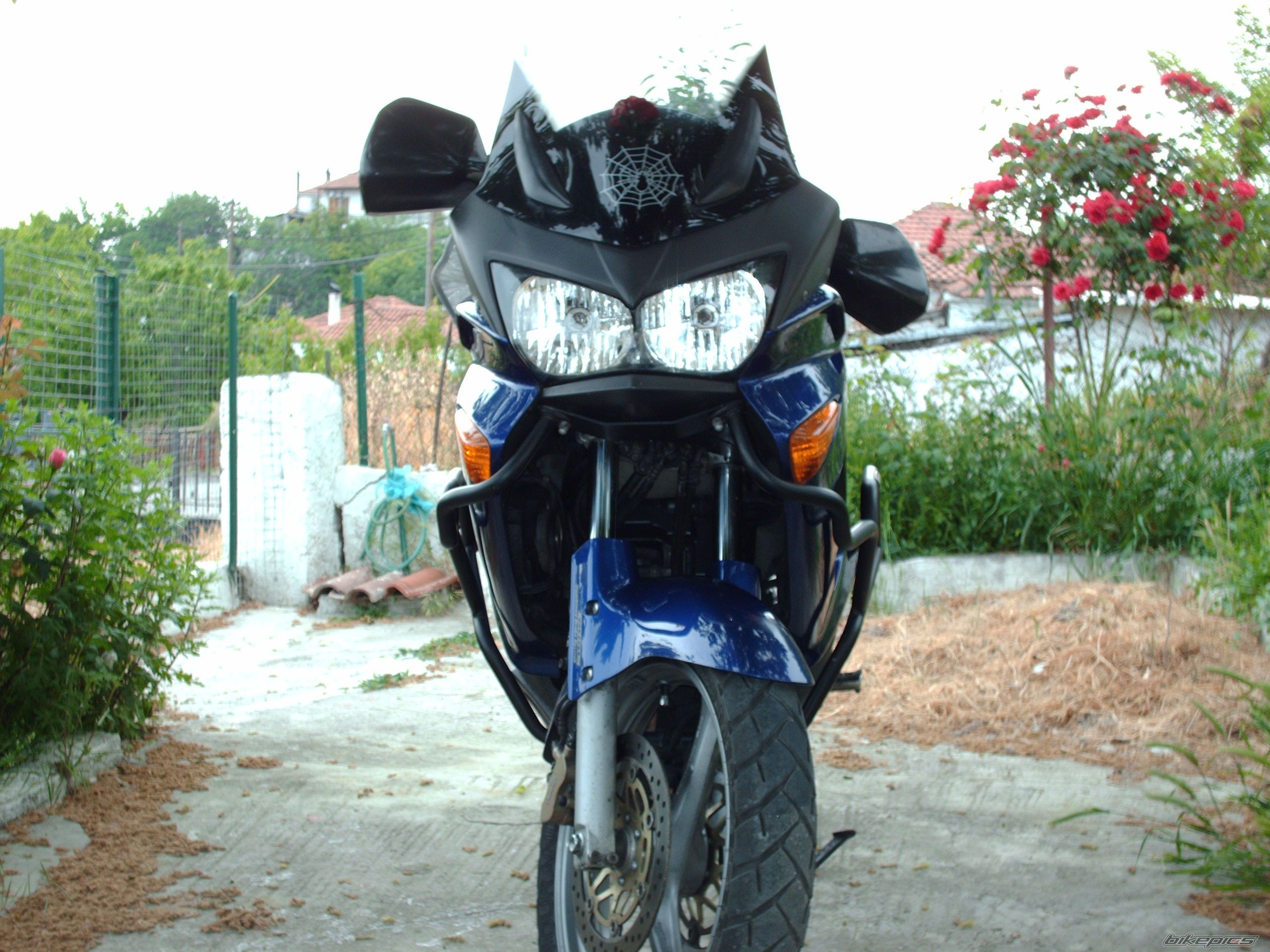 Photo 1799759