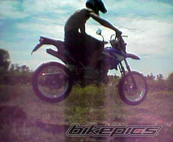 Photo 179991