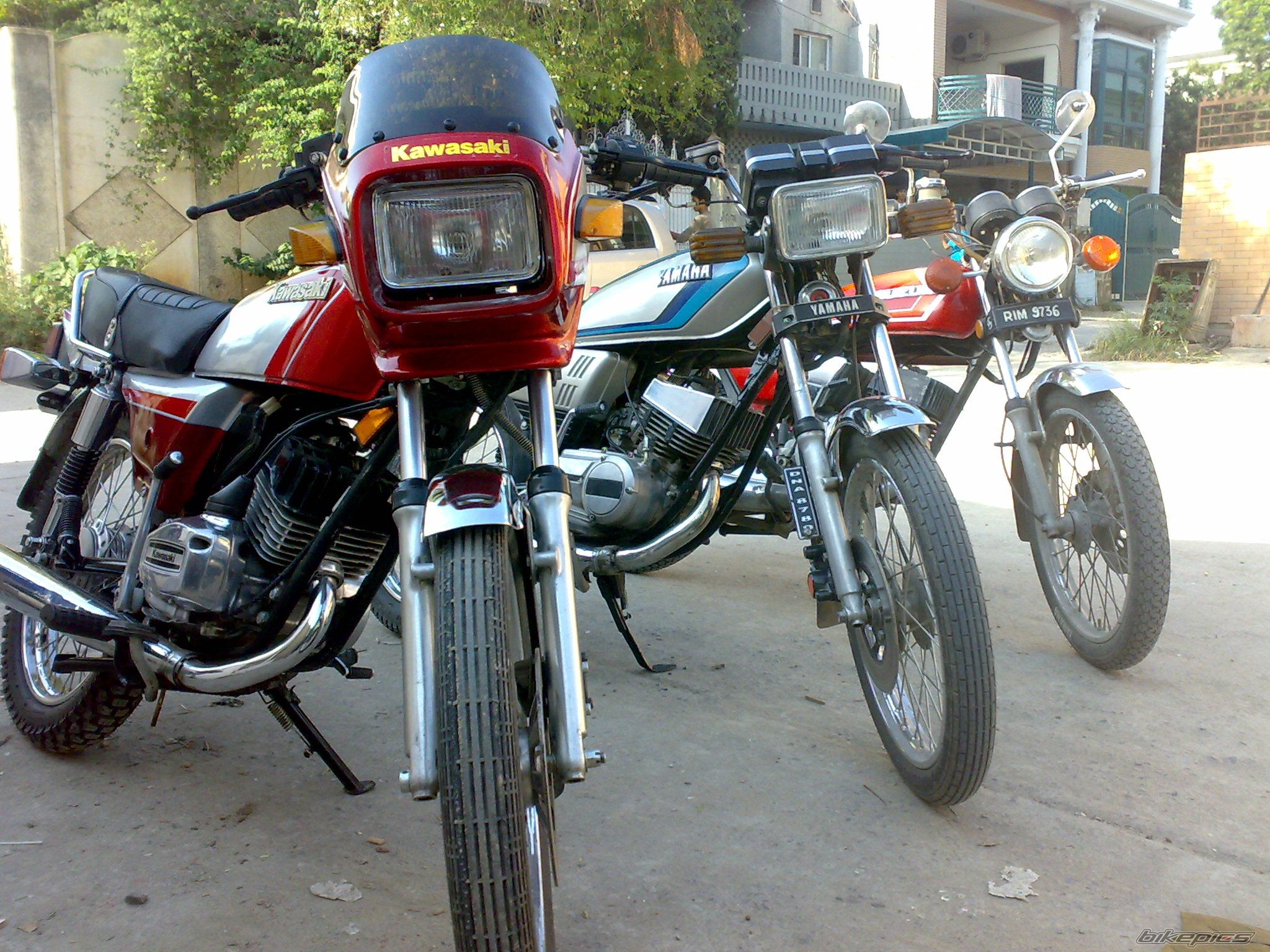 Photo 1799924