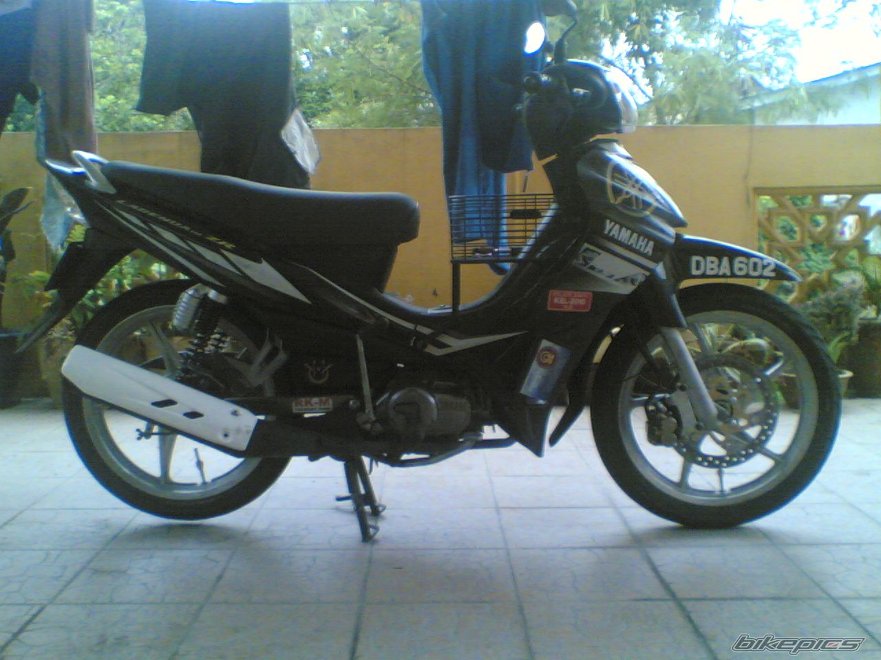 Photo 1799933