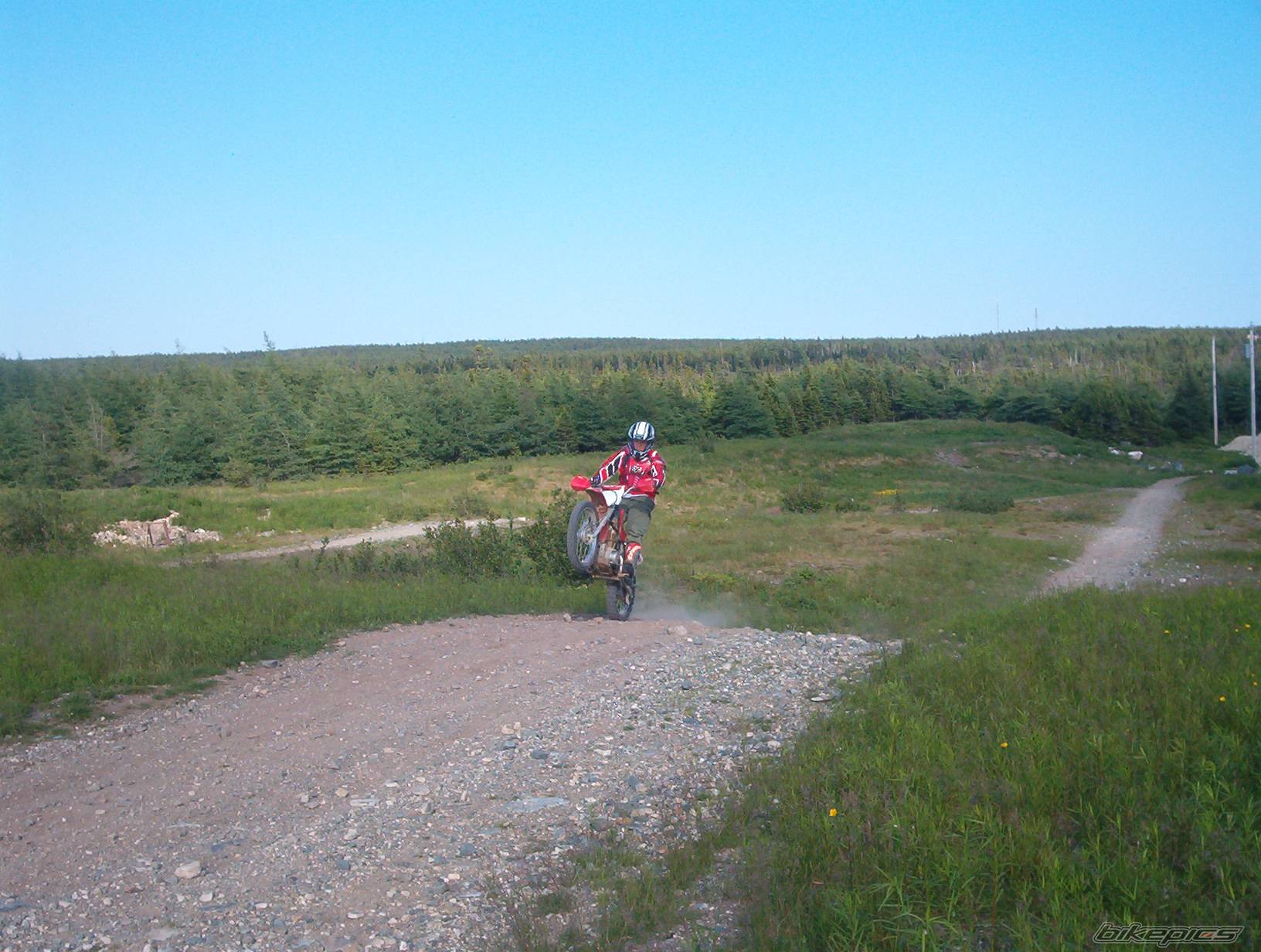 Photo 179994
