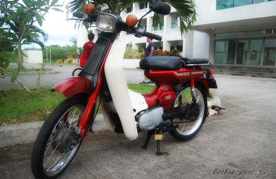 Photo 1799961