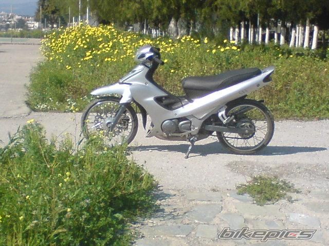 Photo 1799972