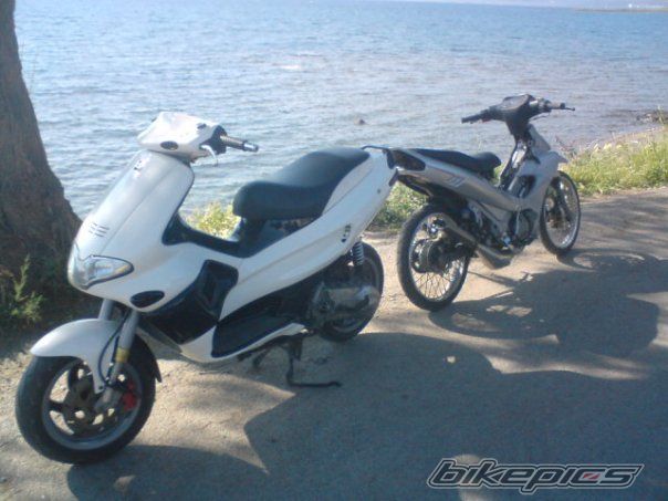 Photo 1799980