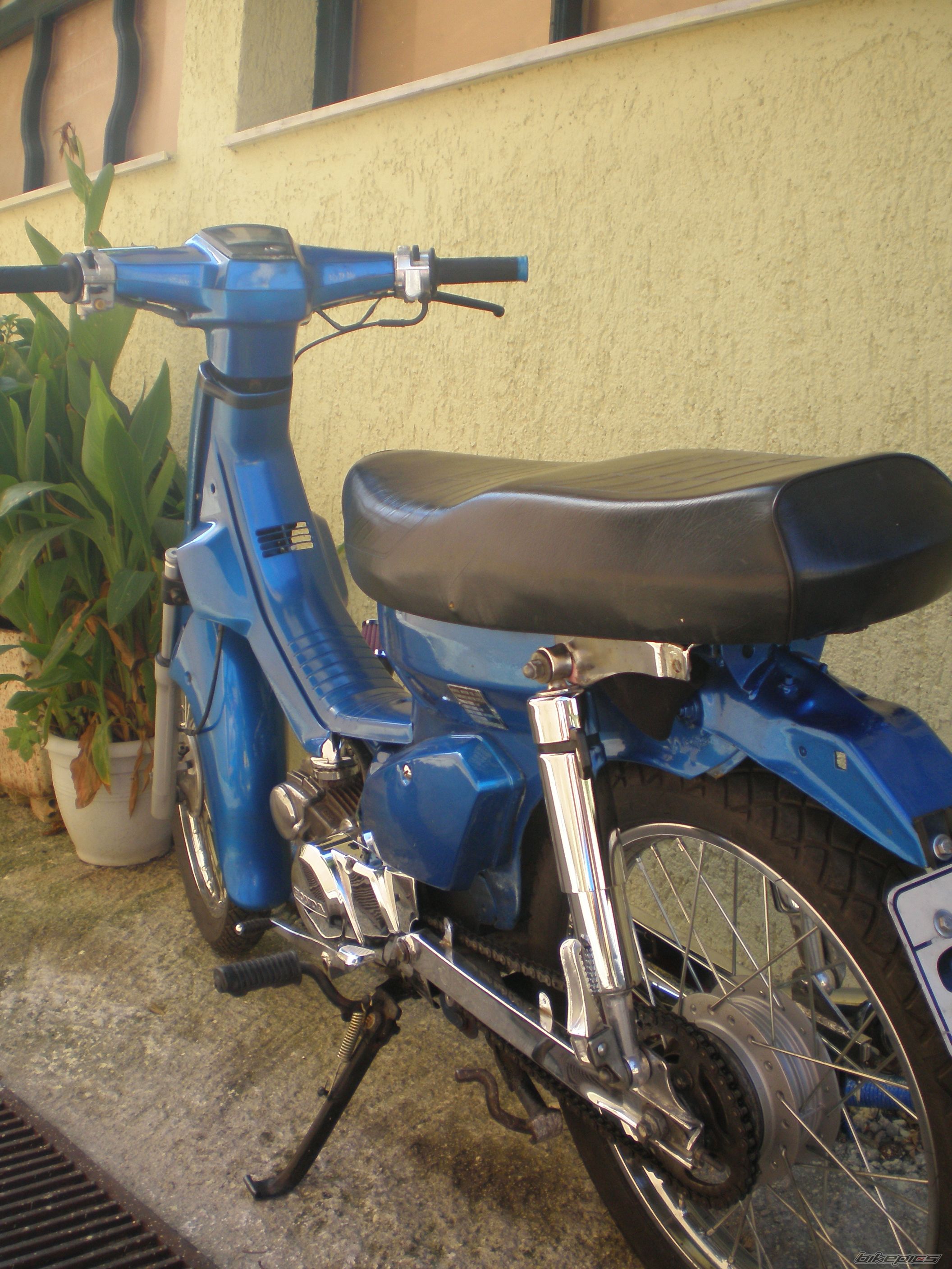 Photo 1799982
