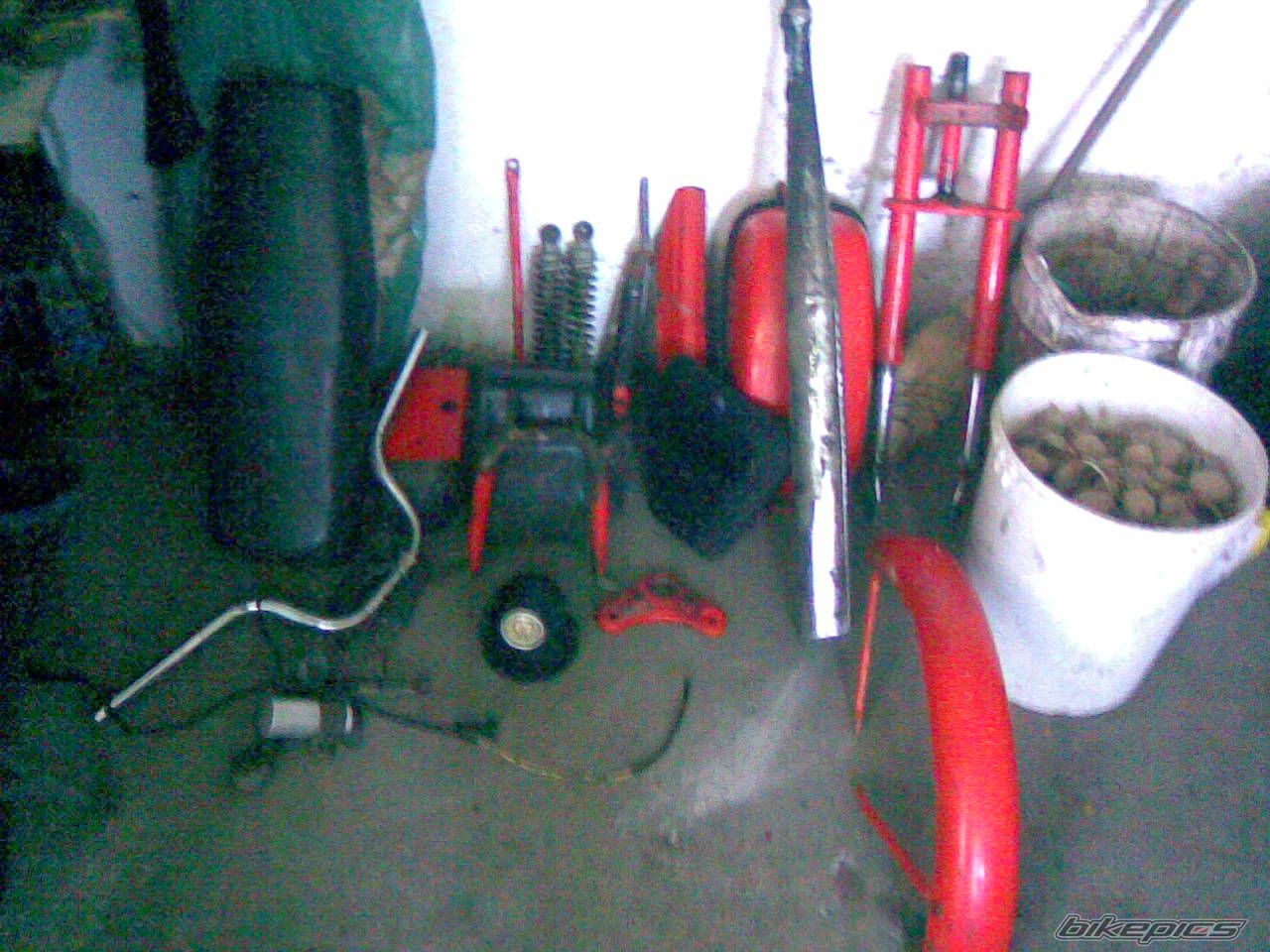 Photo 1800287