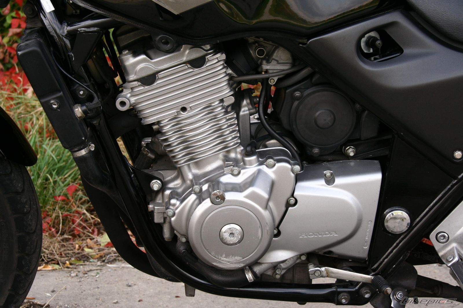 Bike Photo 1800828
