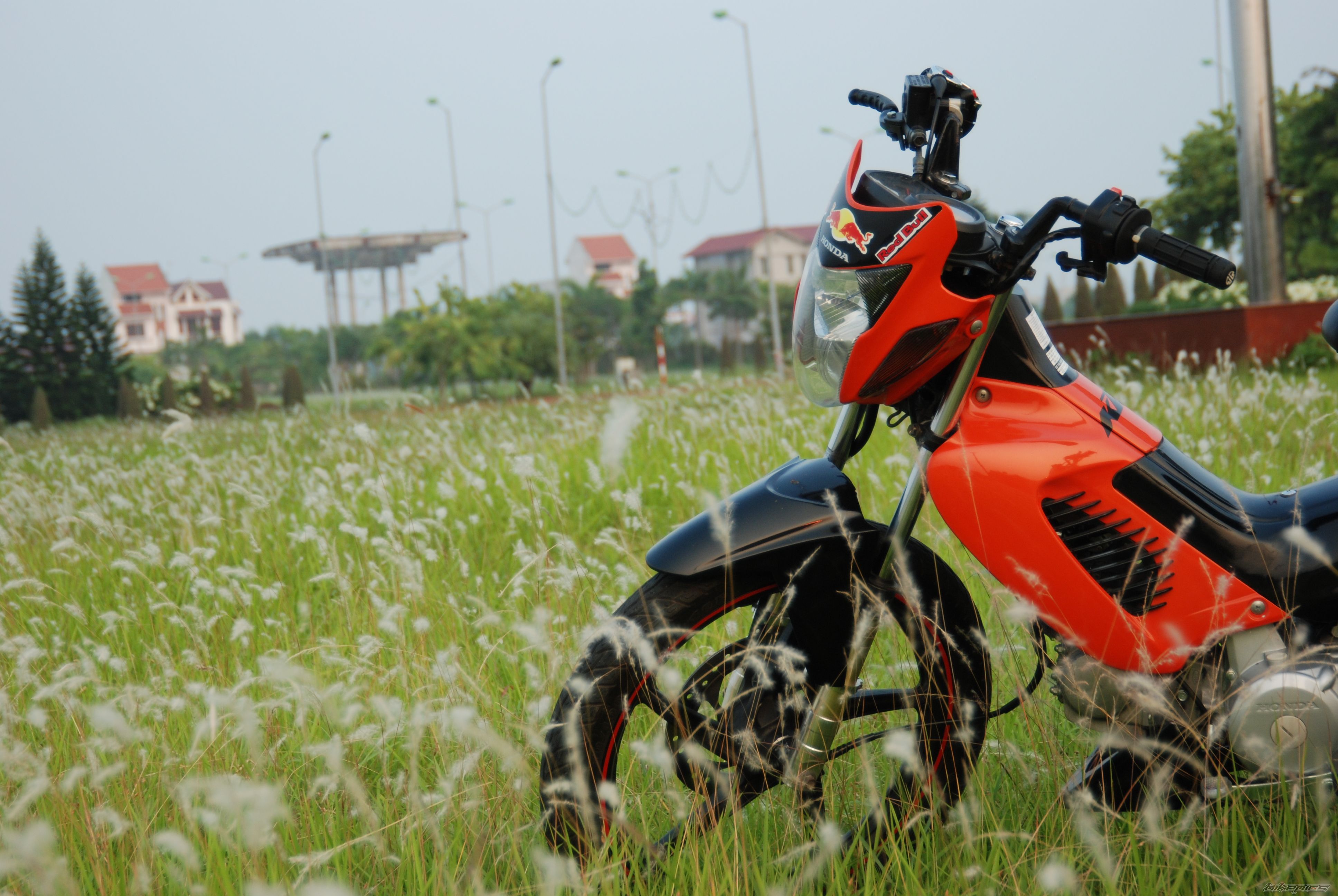 Bike Photo 1800849
