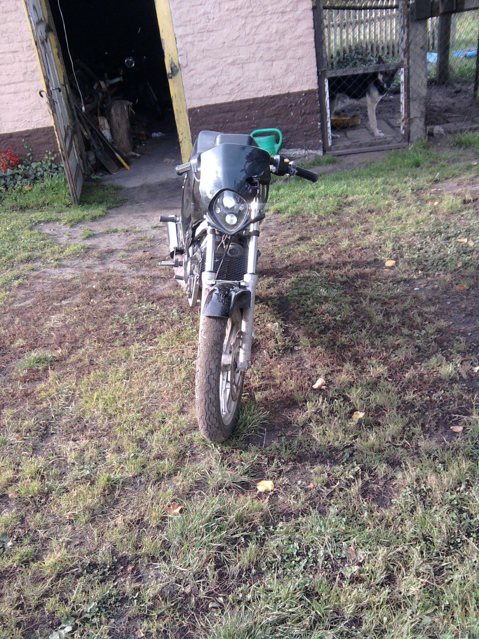 Bike Photo 1801238