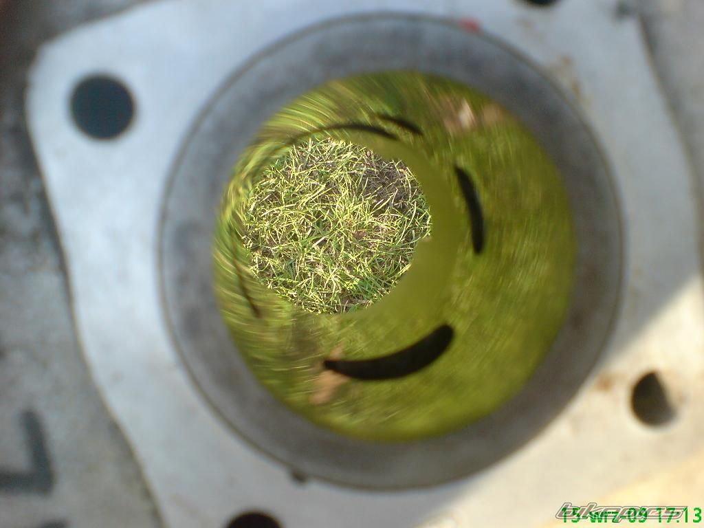 Photo 1801318