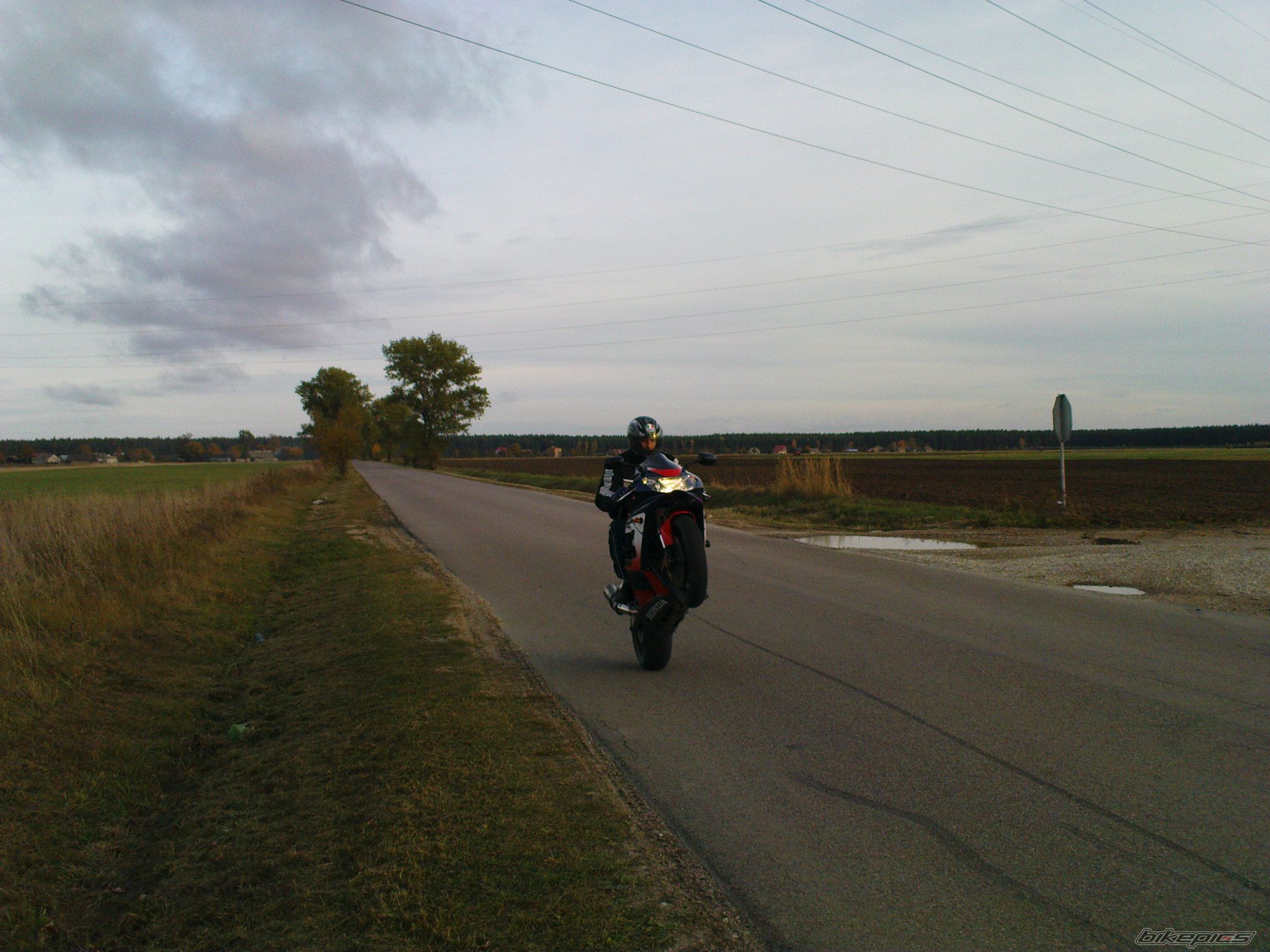 Photo 1801508