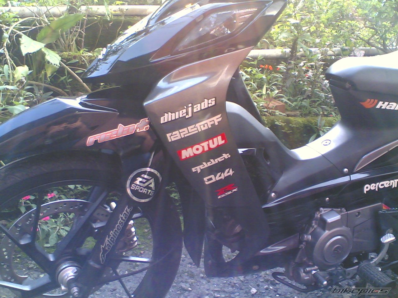 Photo 1801594