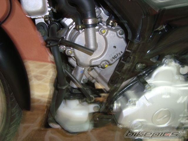 Photo 1801892