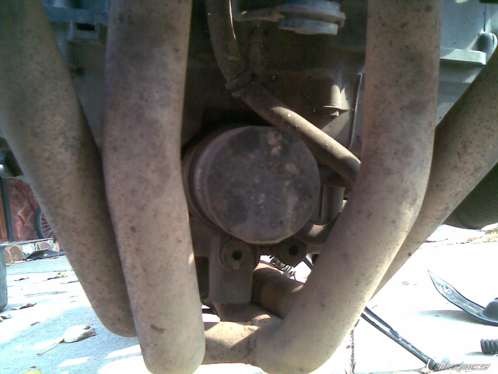 Photo 1802010
