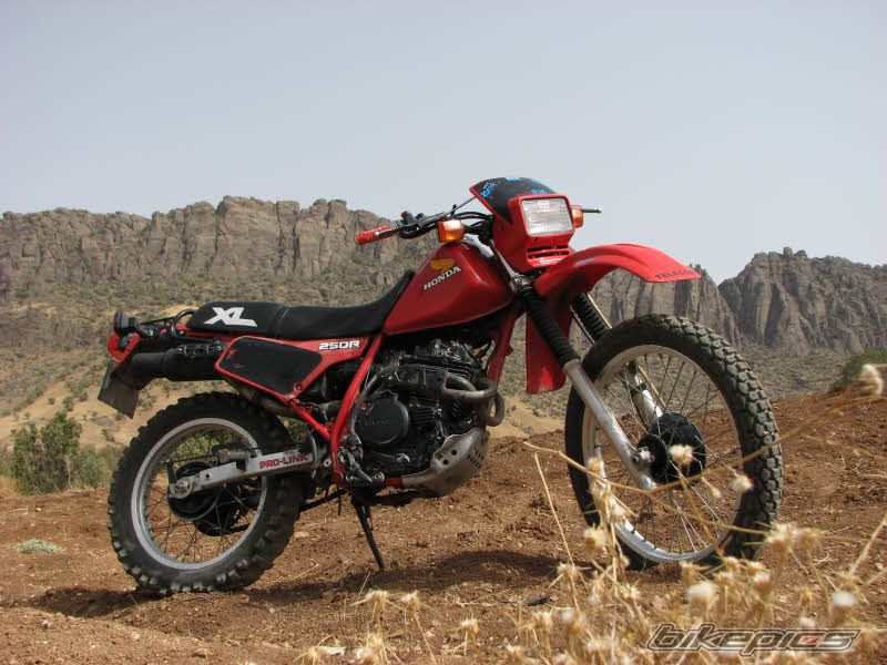 Bike Photo 1802259
