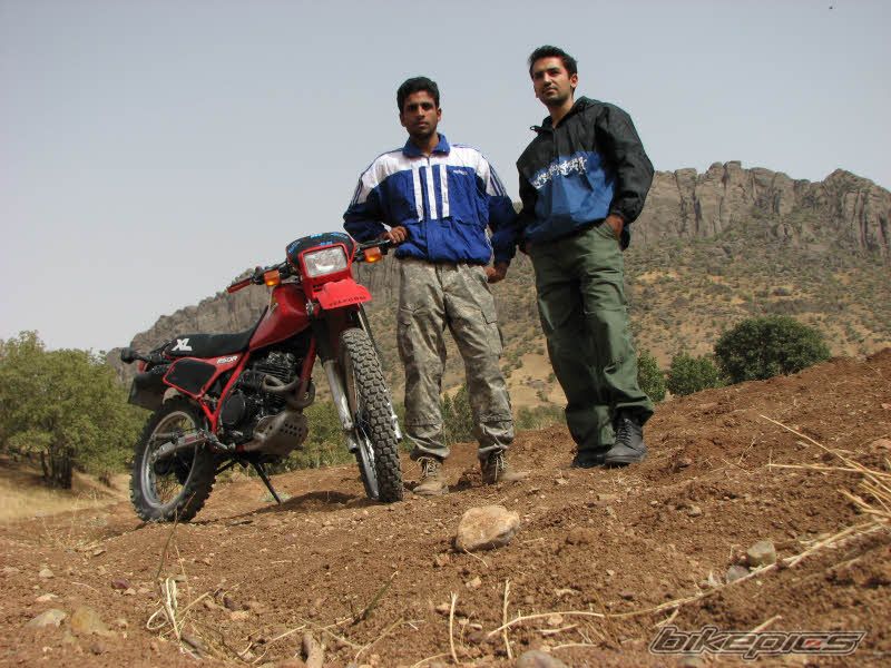 Bike Photo 1802286