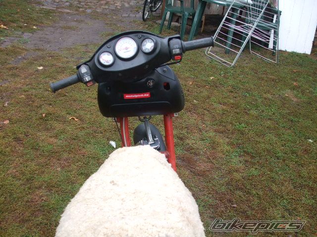 Photo 1802484
