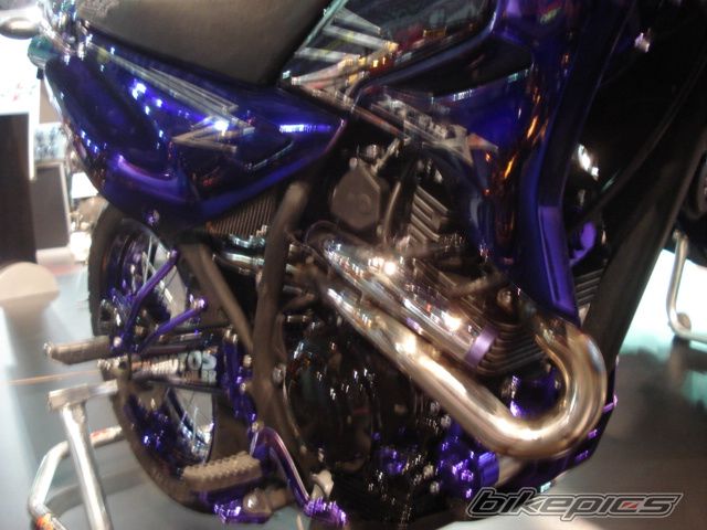 Photo 1803279