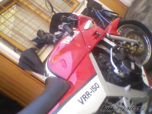 Photo 1803343