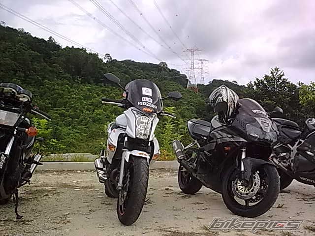 Photo 1803403