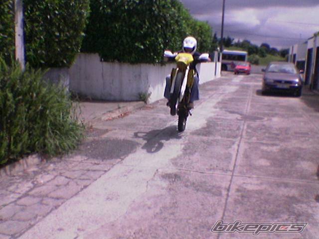 Photo 180374