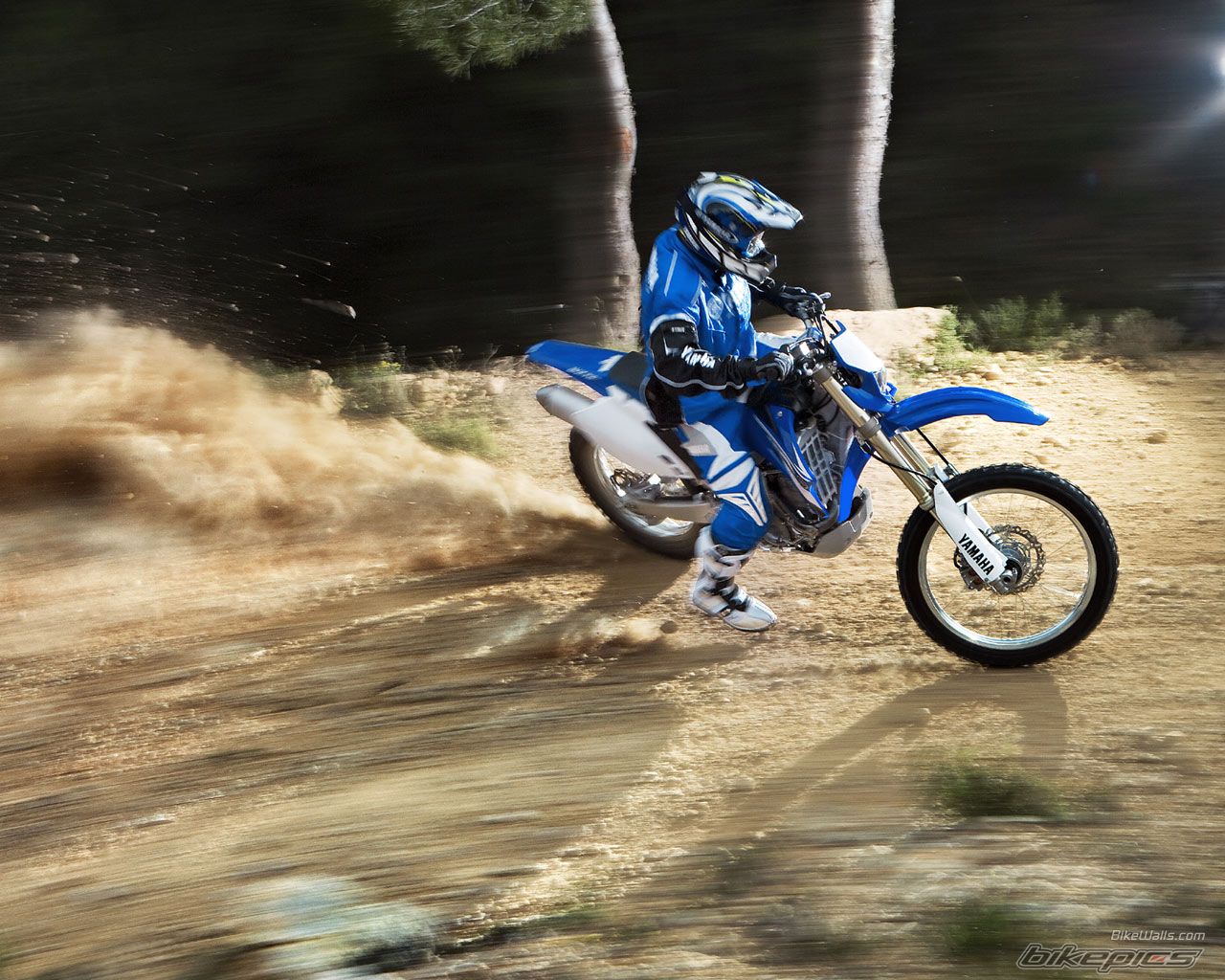 Bike Photo 1803871