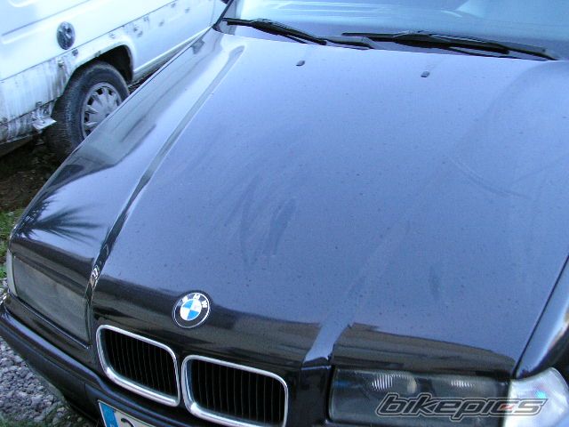 Photo 1804197