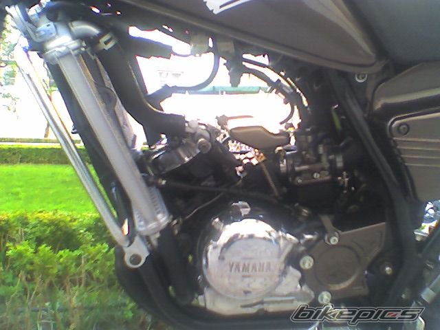 Photo 1804865