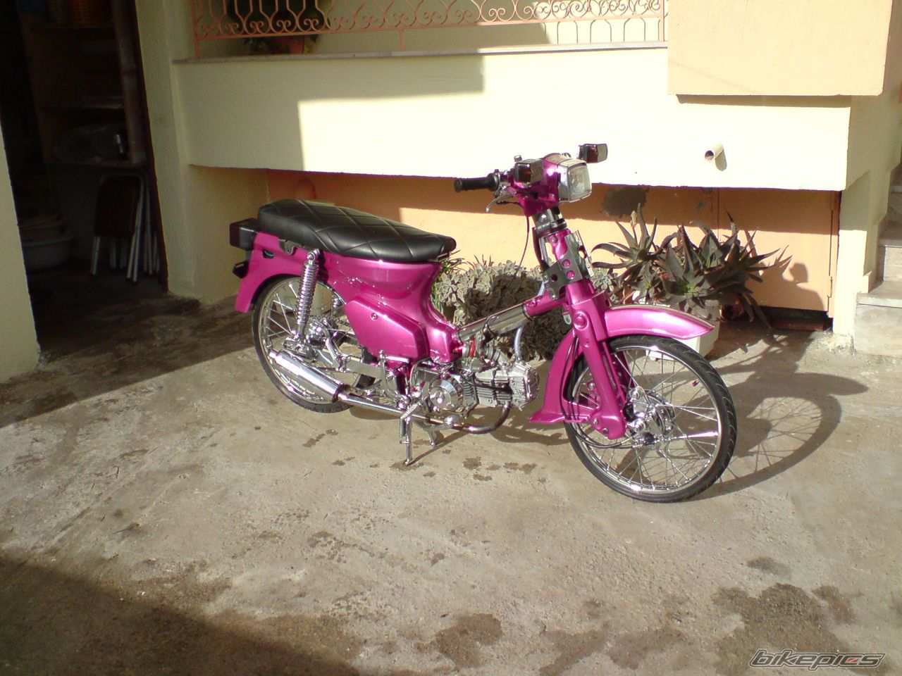 Bike Photo 1805661