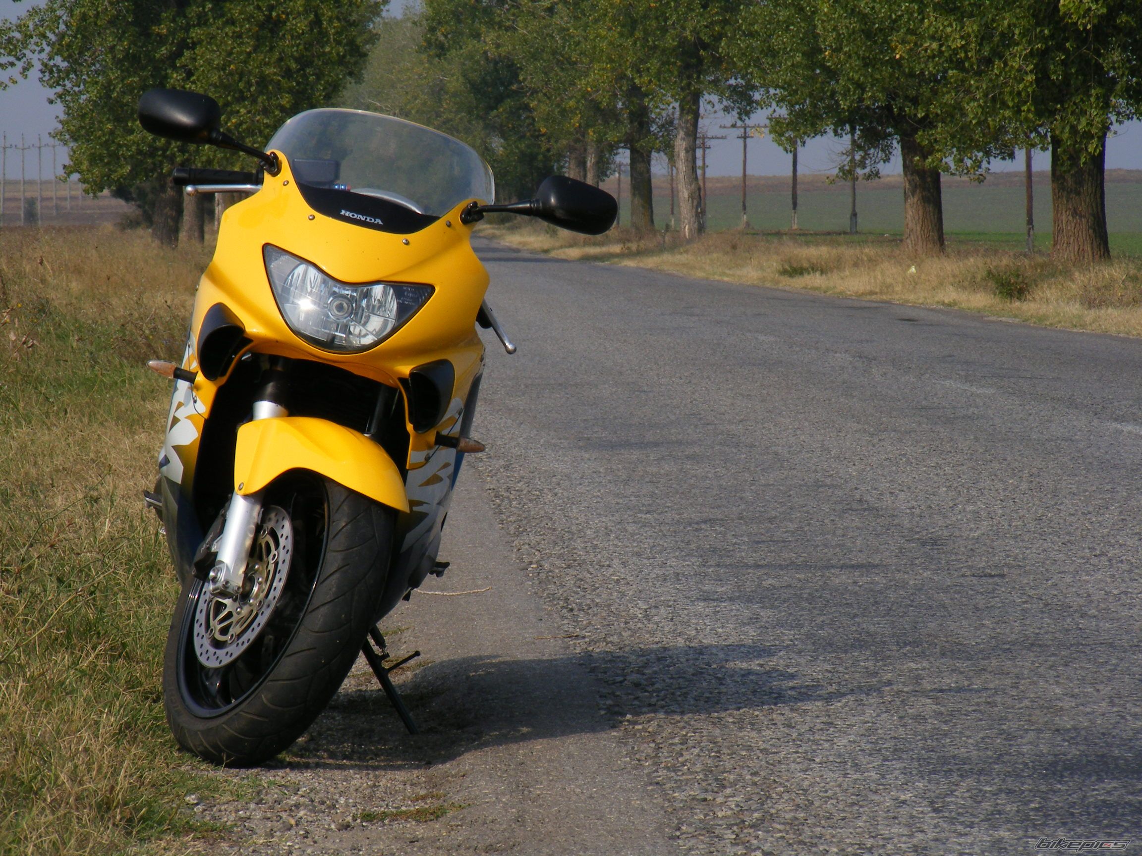 Bike Photo 1805866