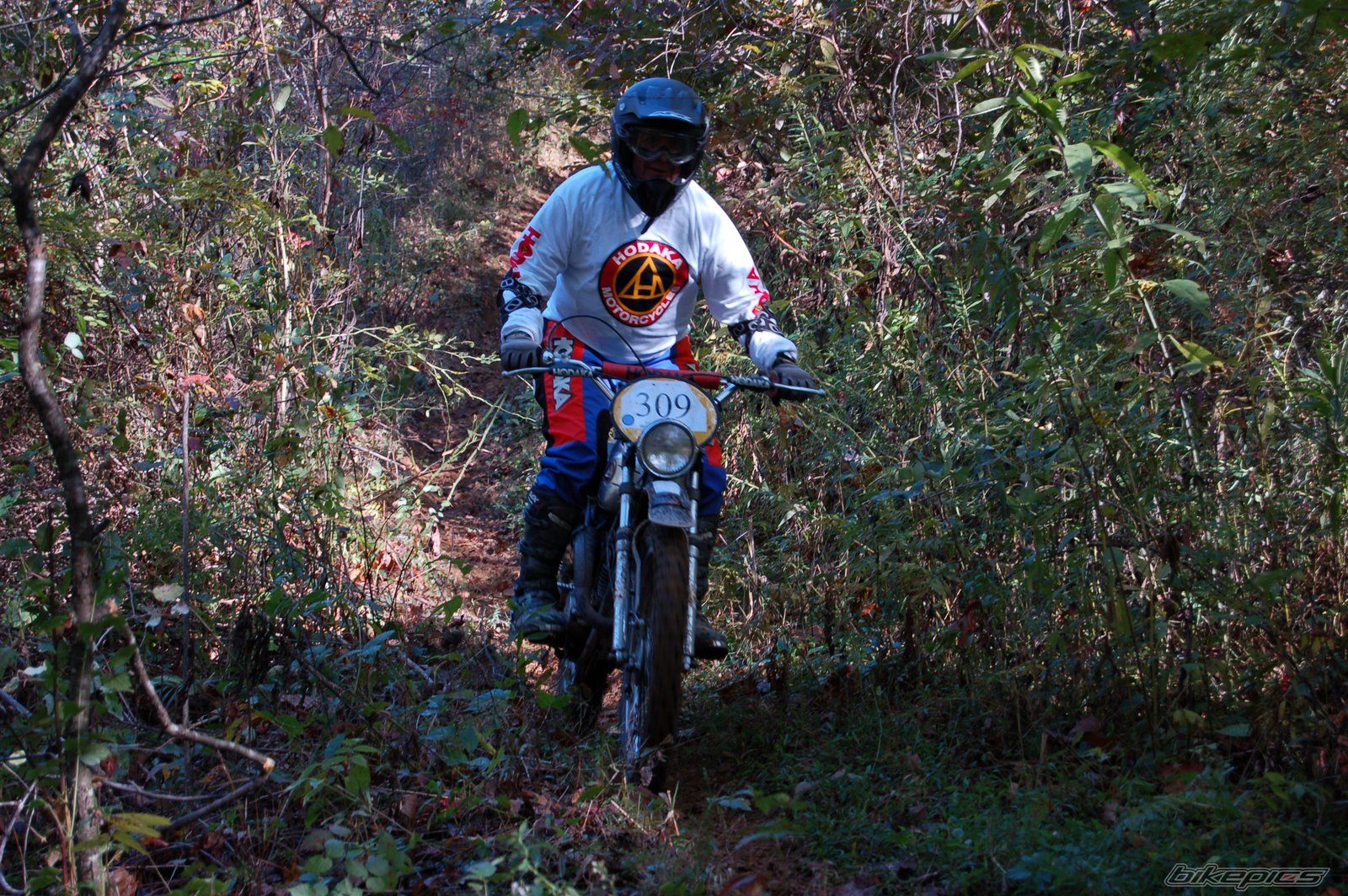 Bike Photo 1806096