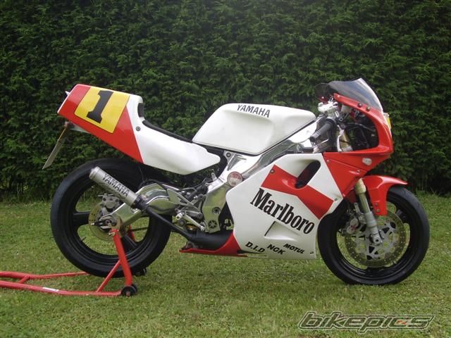 Bike Photo 1806650