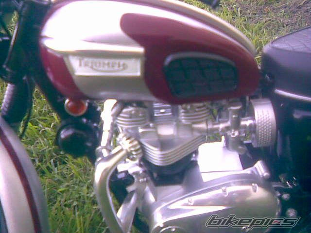 Bike Photo 1806857