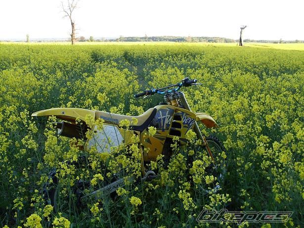 Bike Photo 1806914