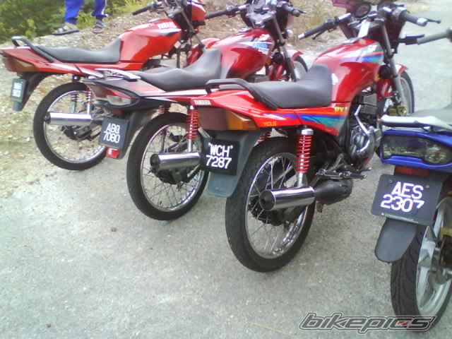 Photo 1807667