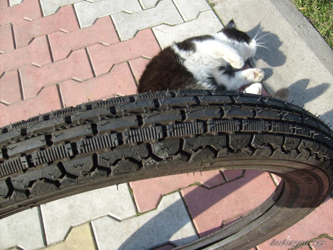 Bike Photo 1807931
